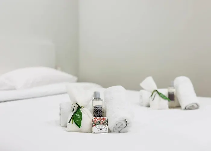 Leon - Centre - 4 - Clim 칸느